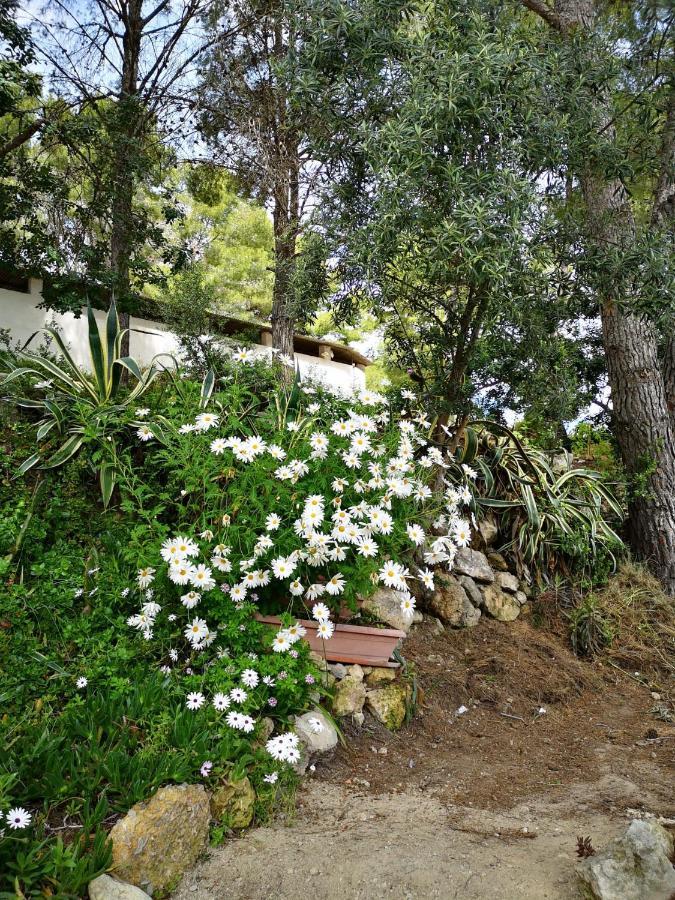 Apartamento Entre La Playa Y La Montana Calafell Dış mekan fotoğraf