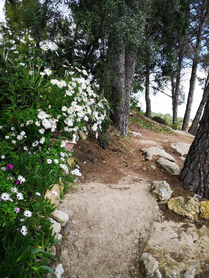 Apartamento Entre La Playa Y La Montana Calafell Dış mekan fotoğraf